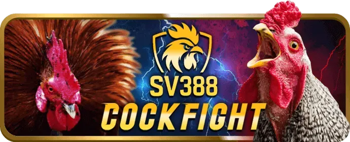 Chơi Poker tại VN23